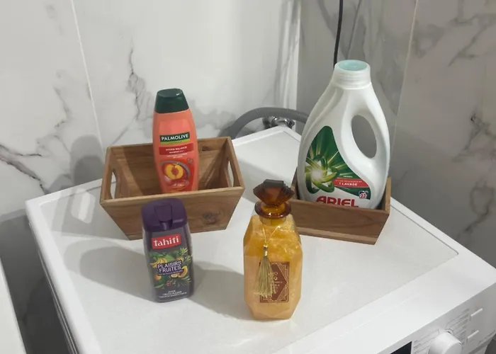 Tres Belle Maison De Lille